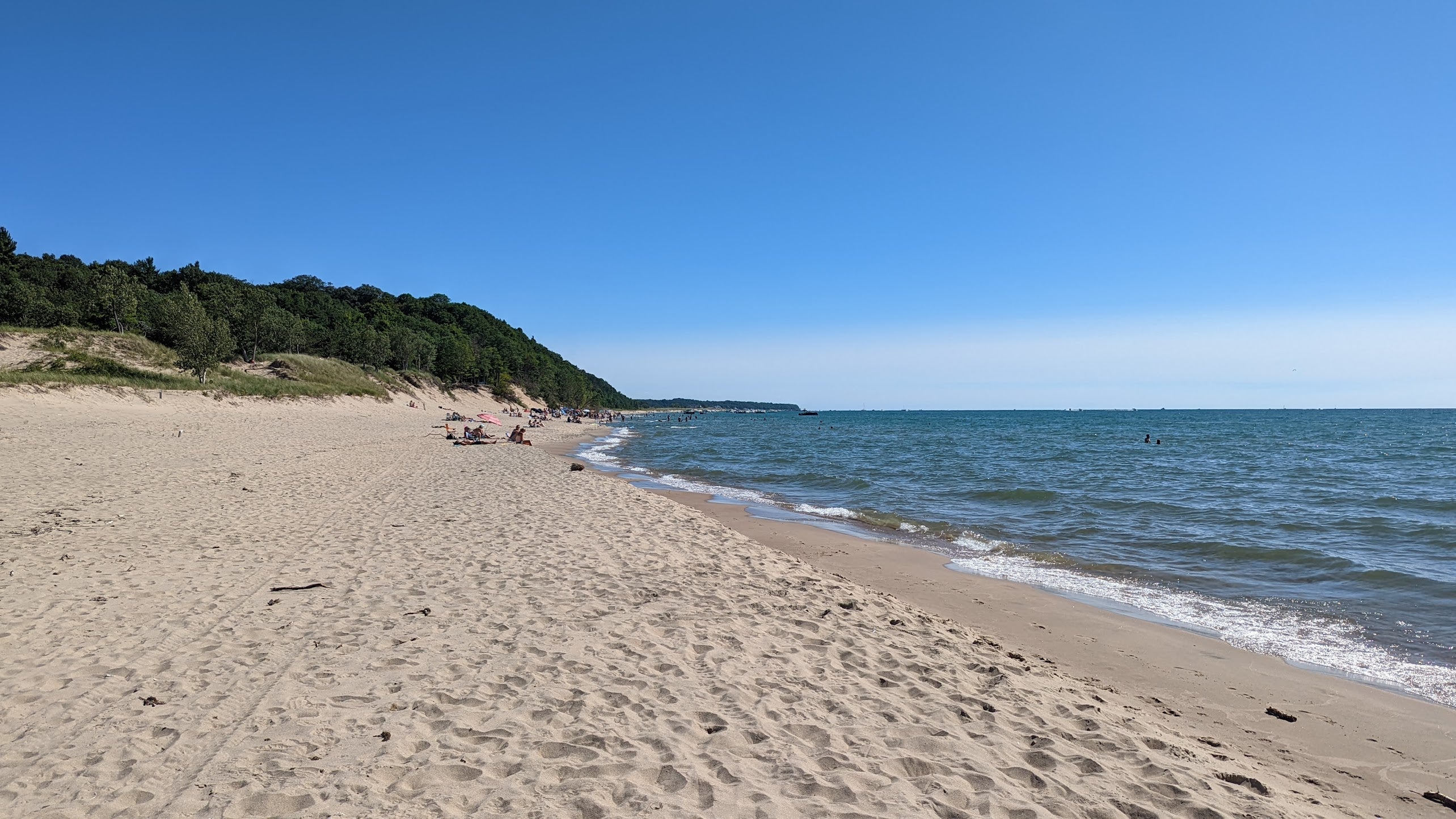 Beach scene with sand, water, and trees under a clear blue sky